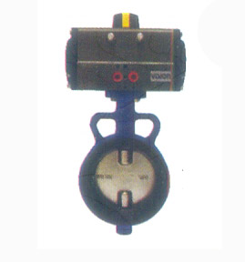 Pneumatic Diaphragm Control Valves