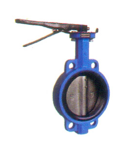 Pneumatic Diaphragm Control Valves